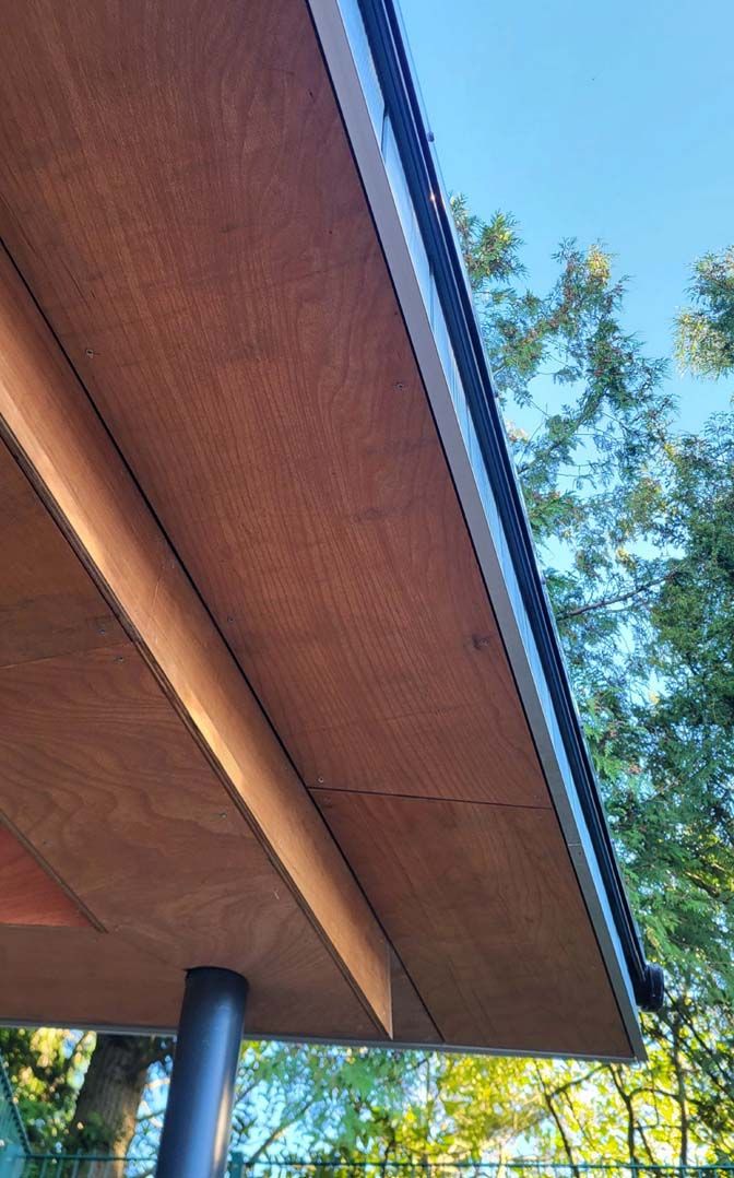 Wonersh & Shamley Green Primary School 6